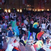 Kölner Narrenzunft (17.01.10)